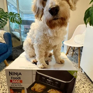 Brian’s dog has claimed the air fryer, but says Brian can use it now and again
