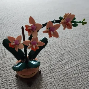 LEGO Botanical Orchid set - DanKat won this for FREE on our Facebook page